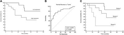 Heparanase 1 Upregulation Promotes Tumor Progression and Is a Predictor of Low Survival for Oral Cancer